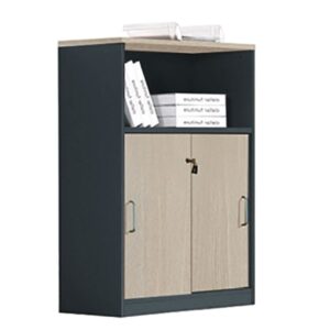 ΕΟ816 PROGRESS Ντουλάπι Γραφείου με Ράφι, Δίφυλλο Συρόμενες Πόρτες 2 Ράφια,Απόχρωση Elm-Sky Grey  80x40x120cm